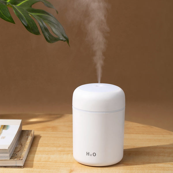 AirFresh Mini/ Mini Umidificador De Ar Portátil Com Lâmpada Noturna LED E Cabo USB - 300 ML